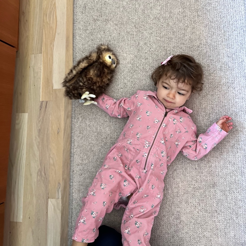 Angel Dear Corduroy Retro Jumpsuit, Mini Rose size 12-18mo super condition